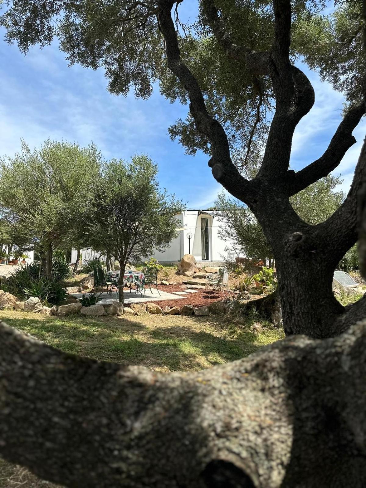 Casa Mariposa Porto Rotondo Villa Rudalza Exterior photo